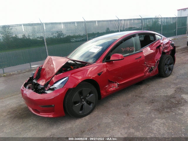 Tesla Model 3 Long Range 2021 5YJ3E1EB1MF869342 Image 2