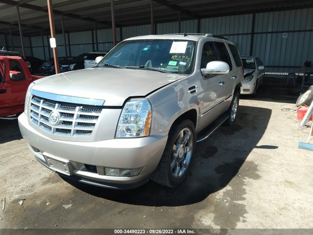 2008 CADILLAC ESCALADE STANDARD VIN: 1GYEC63848R211351
