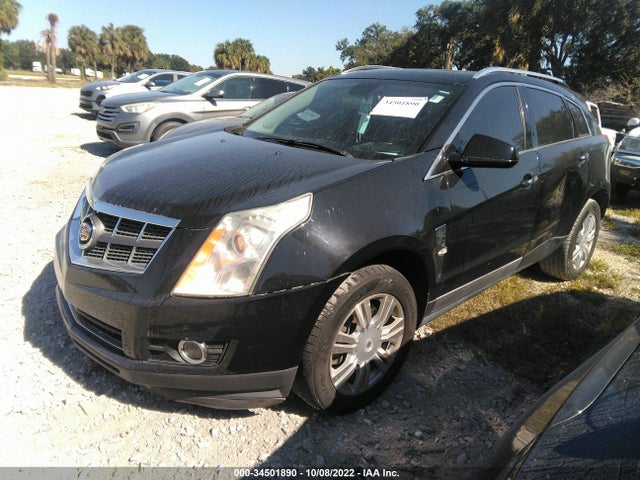 2010 CADILLAC SRX LUXURY COLLECTION VIN: 3GYFNAEY3AS599089