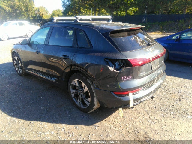 2022 Audi e-tron, VIN: WA1AAAGE8NB012850