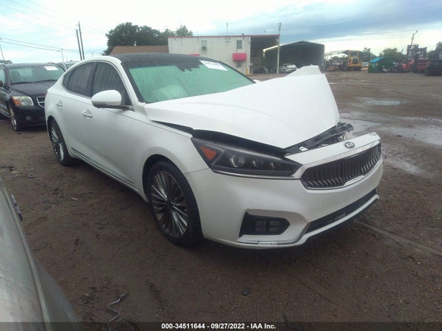 2019 Kia Cadenza, VIN: KNALC4J12K5166624