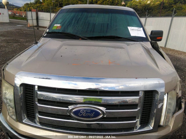 2010 FORD F-150 XL/XLT/FX4/LARIAT VIN: 1FTFW1EV5AFB22130