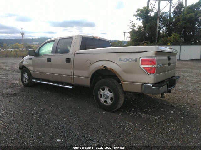 2010 FORD F-150 XL/XLT/FX4/LARIAT VIN: 1FTFW1EV5AFB22130