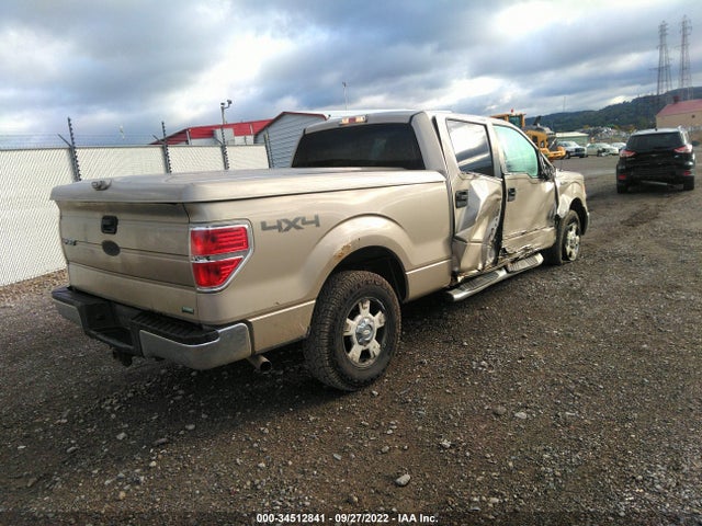 2010 FORD F-150 XL/XLT/FX4/LARIAT VIN: 1FTFW1EV5AFB22130
