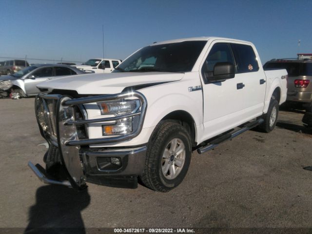 1FTEW1EF8HKD11988 Ford F-150 Xlt
