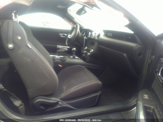 2015 Ford Fastback, VIN: 1FA6P8AM5F5382114