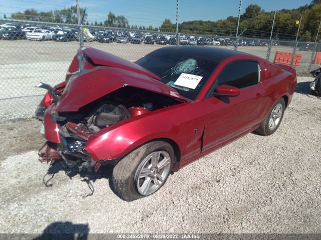 2013 FORD MUSTANG V6 VIN: 1ZVBP8AM2D5255663