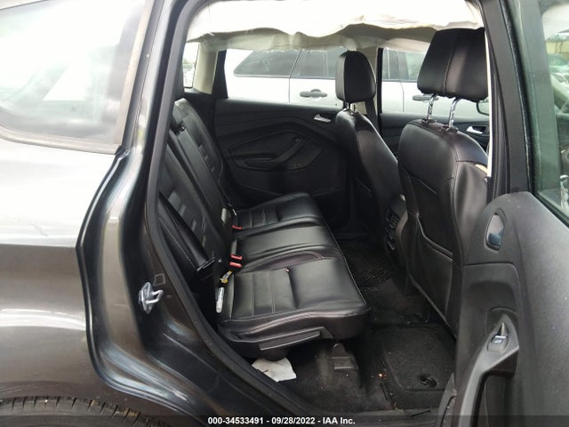 2017 Ford C-Max, VIN: 1FADP5AU8HL100133