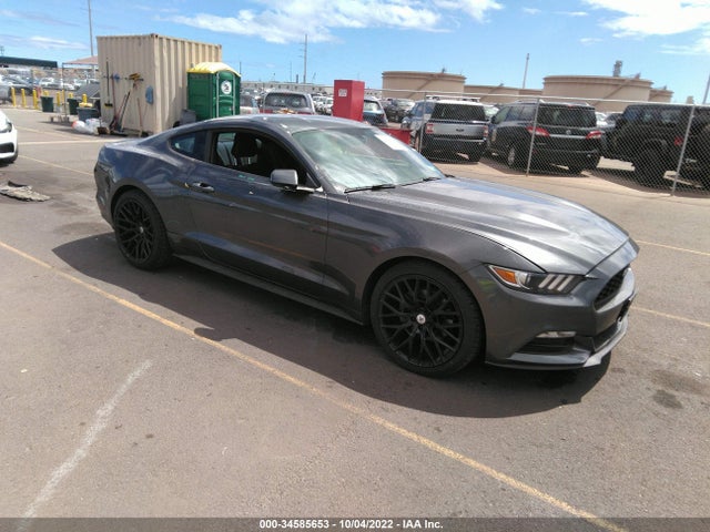 2015 Ford Fastback, VIN: 1FA6P8AM7F5319483
