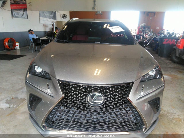2020 Lexus NX, VIN: JTJSARBZ7L5005738