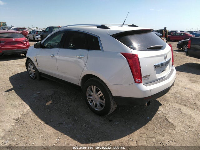 2010 CADILLAC SRX LUXURY COLLECTION VIN: 3GYFNAEY5AS547804