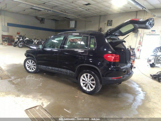 WVGBV7AX9HK044055 Volkswagen Tiguan
