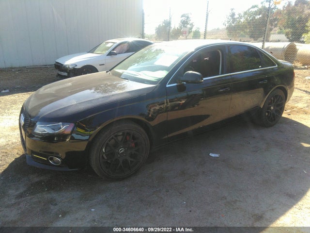 WAUEFAFL3BN022590 Audi A4 2.0t Premium Plus