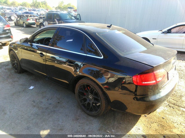 WAUEFAFL3BN022590 Audi A4 2.0t Premium Plus