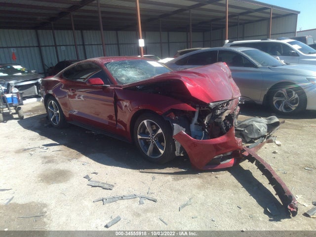 2015 Ford Fastback, VIN: 1FA6P8AM8F5381751