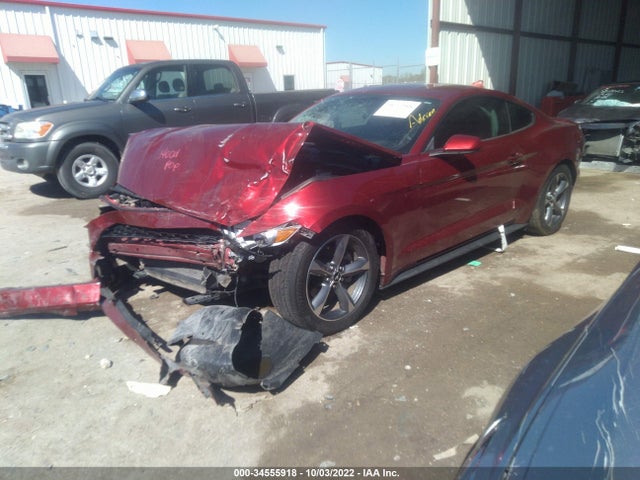 2015 Ford Fastback, VIN: 1FA6P8AM8F5381751