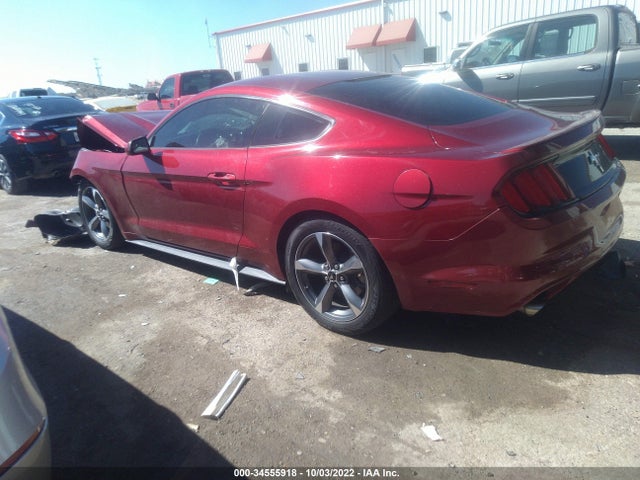 2015 Ford Fastback, VIN: 1FA6P8AM8F5381751