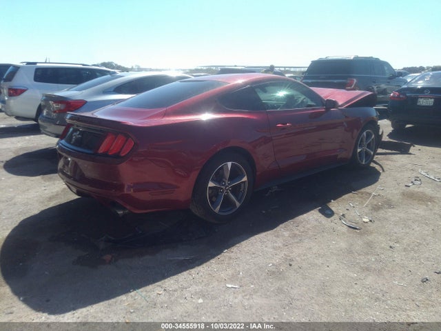 2015 Ford Fastback, VIN: 1FA6P8AM8F5381751