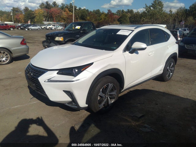 2020 Lexus NX, VIN: JTJGJRDZ3L5005612
