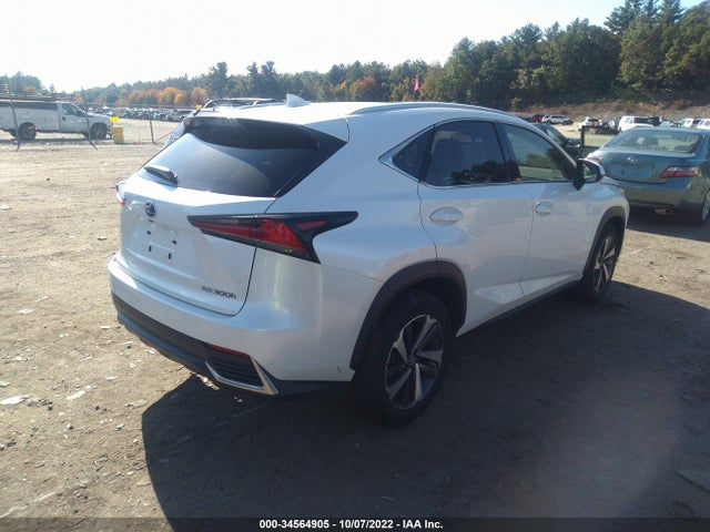 2020 Lexus NX, VIN: JTJGJRDZ3L5005612