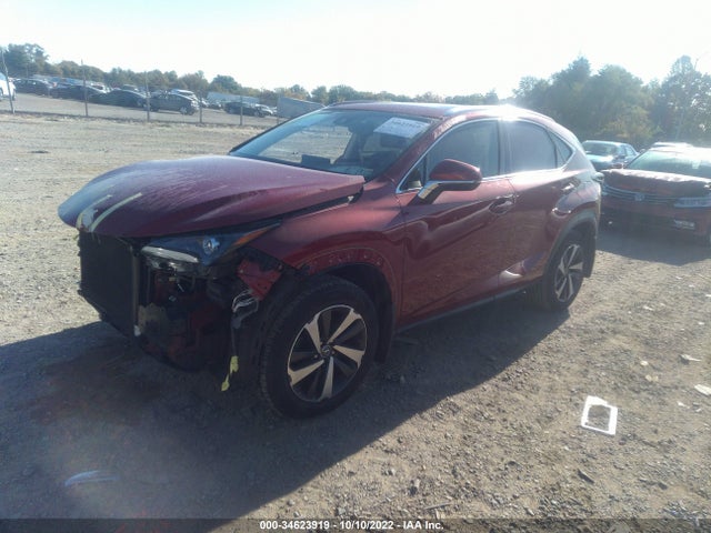 2018 Lexus NX, VIN: JTJBARBZ6J2165558