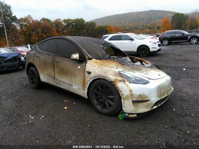 2022 Tesla Model Y, VIN: 7SAYGAEE5NF521218
