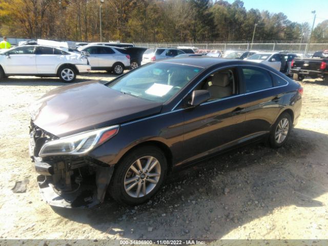 5NPE24AF8GH328905 Hyundai SONATA SE