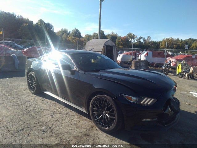 2015 Ford Fastback, VIN: 1FA6P8AM5F5356936