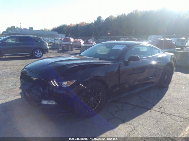 2015 Ford Fastback, VIN: 1FA6P8AM5F5356936
