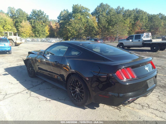2015 Ford Fastback, VIN: 1FA6P8AM5F5356936