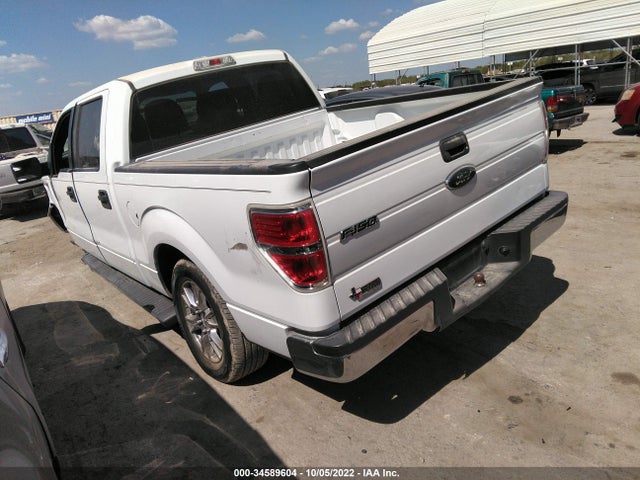 2013 FORD F-150 XL/XLT VIN: 1FTEW1CM5DKE55445