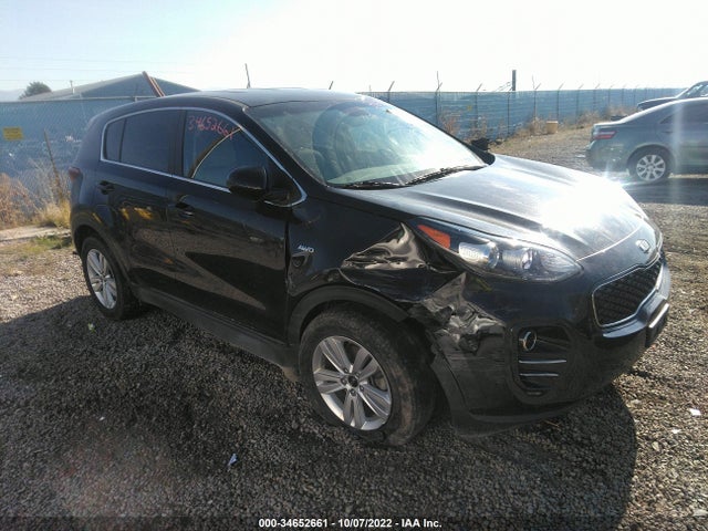 2019 Kia Sportage, VIN: KNDPMCAC8K7608159