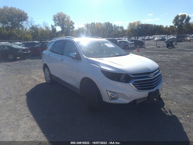 2019 2GNAXXEV1K6230144 main image