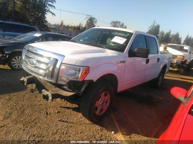 2011 FORD F-150 XL/XLT/FX4/LARIAT VIN: 1FTFW1EF1BFC77882