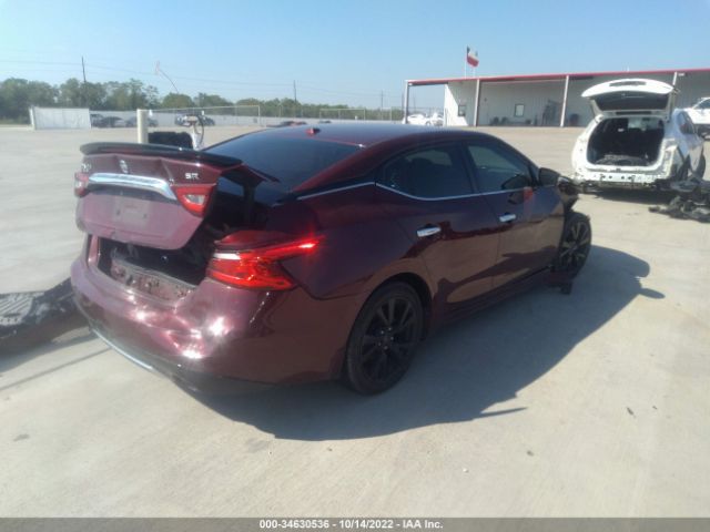 1N4AA6AP8HC393326 Nissan Maxima Sr