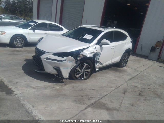 2020 Lexus NX, VIN: JTJGARBZ7L2159423