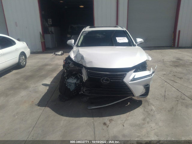 2020 Lexus NX, VIN: JTJGARBZ7L2159423