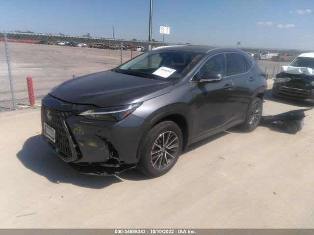 2022 Lexus NX, VIN: JTJGDCAZ9N5003391