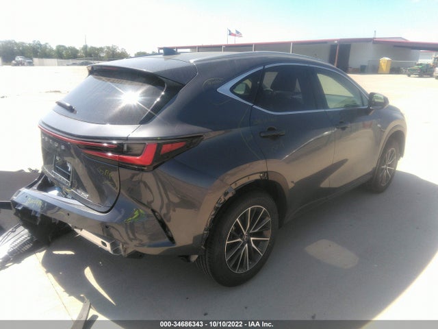 2022 Lexus NX, VIN: JTJGDCAZ9N5003391