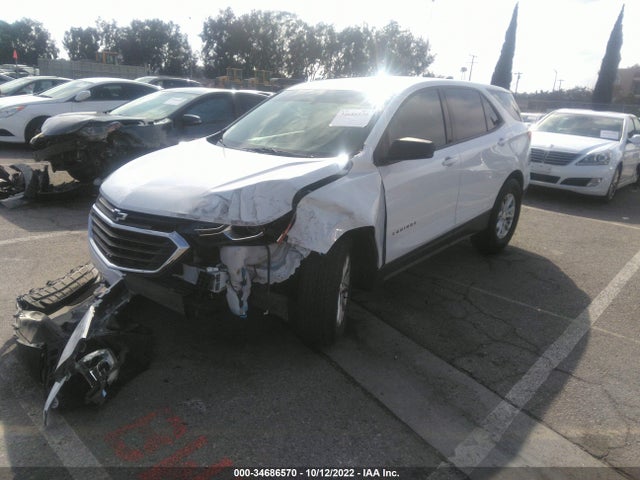 Chevrolet EQUINOX LS 2019 2GNAXHEV7K6194403 Image 2