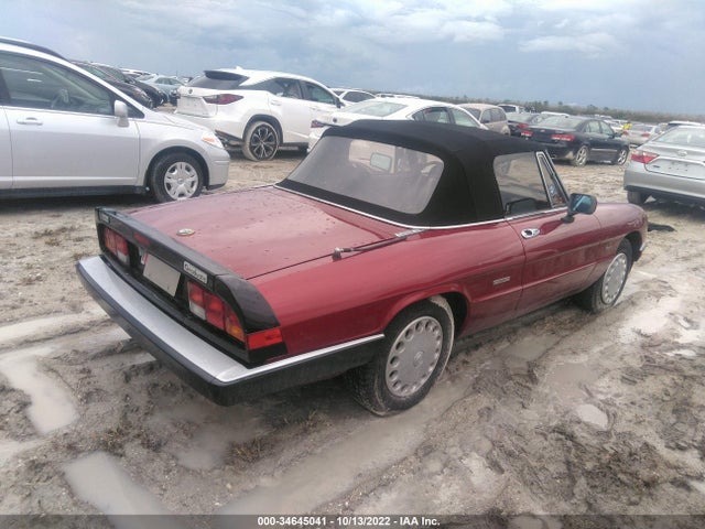 ZARBA5642J1062725 Alfa Romeo Spider Graduate