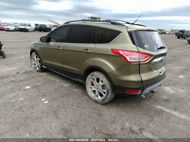 2013 FORD ESCAPE SEL VIN: 1FMCU0HX7DUB19614