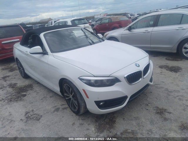 2019 BMW 2 Series, VIN: WBA2K1C57KVD42079