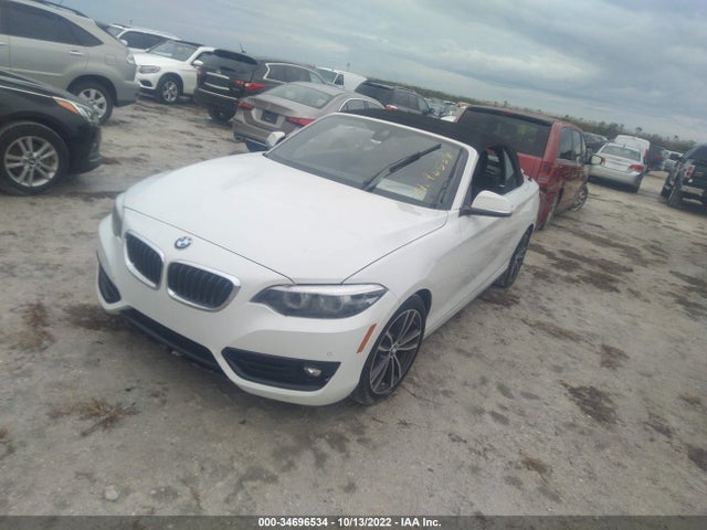 2019 BMW 2 Series, VIN: WBA2K1C57KVD42079