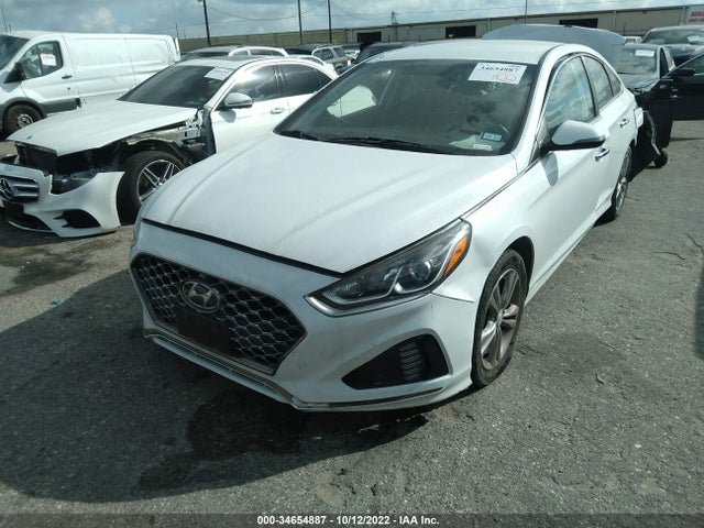 Hyundai SONATA SEL 2019 5NPE34AF7KH775893 Image 2