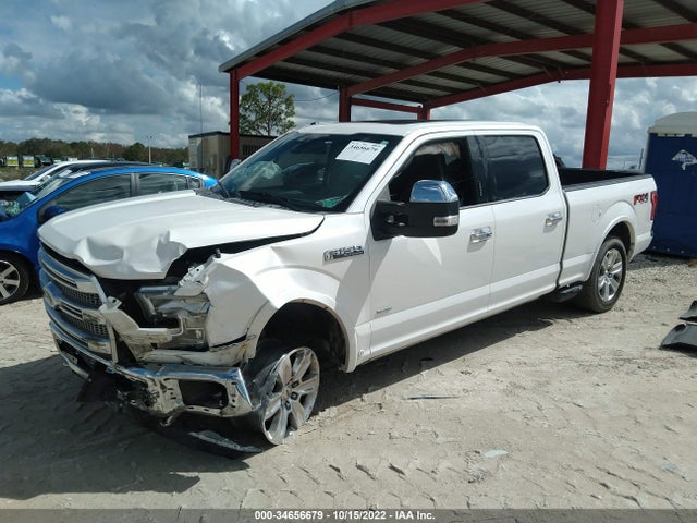 2015 FORD F-150 XLT W VIN: 1FTFW1EG3FFC91667