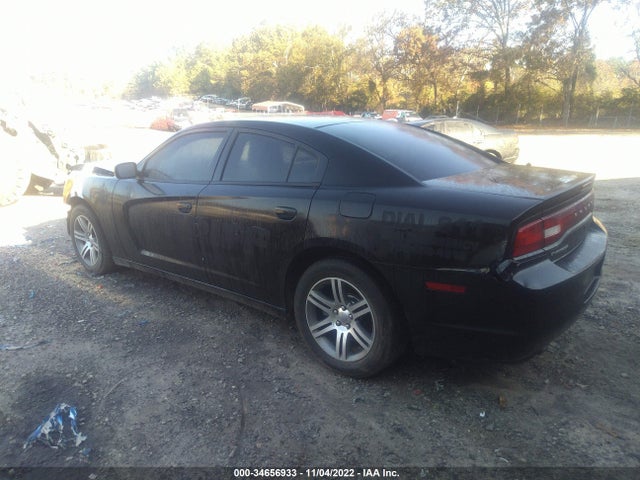 2014 DODGE CHARGER POLICE VIN: 2C3CDXAT7EH191166