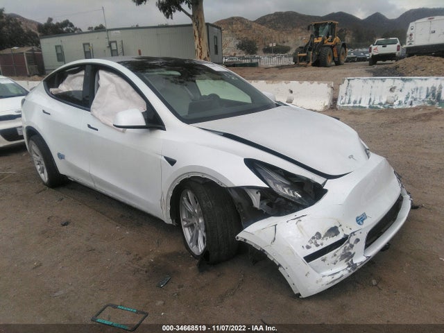 Tesla Model Y Long Range 2020 5YJYGDEE0LF017624 Image 1