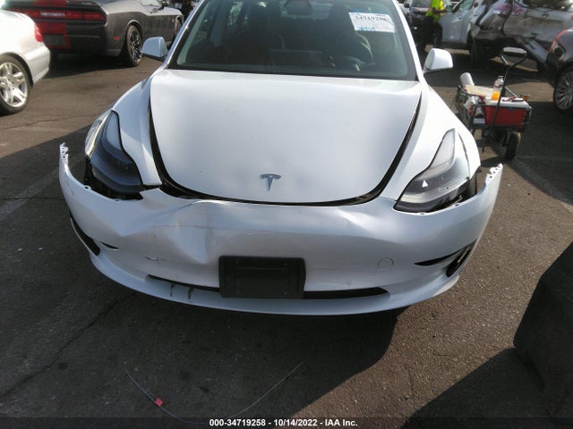 Tesla MODEL 3 2021 5YJ3E1EA0MF921194 Image 7