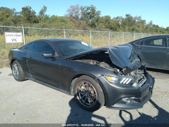 2015 Ford Fastback, VIN: 1FA6P8AM6F5335545